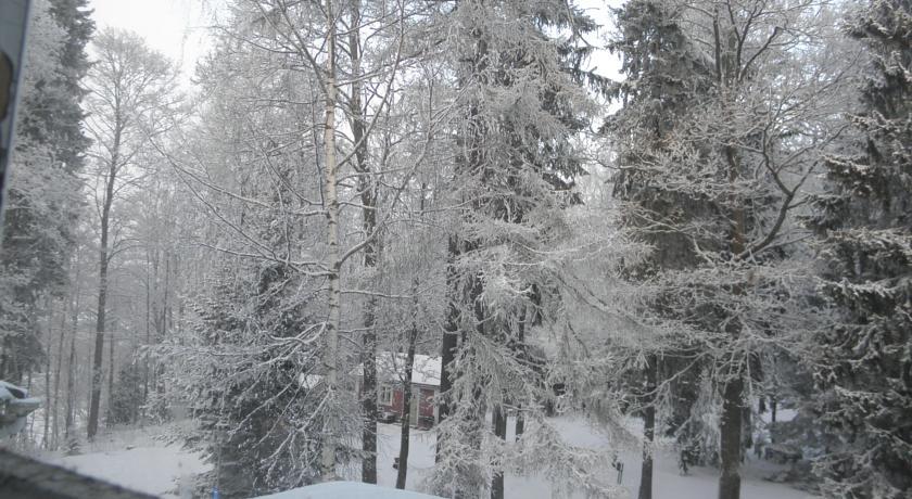 Neitsytniemen Kartano Bed and Breakfast Imatra Rum bild