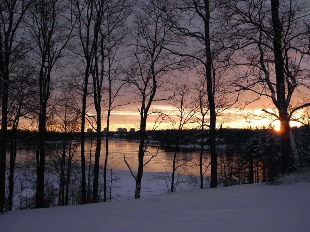 Neitsytniemen Kartano Bed and Breakfast Imatra Exteriör bild