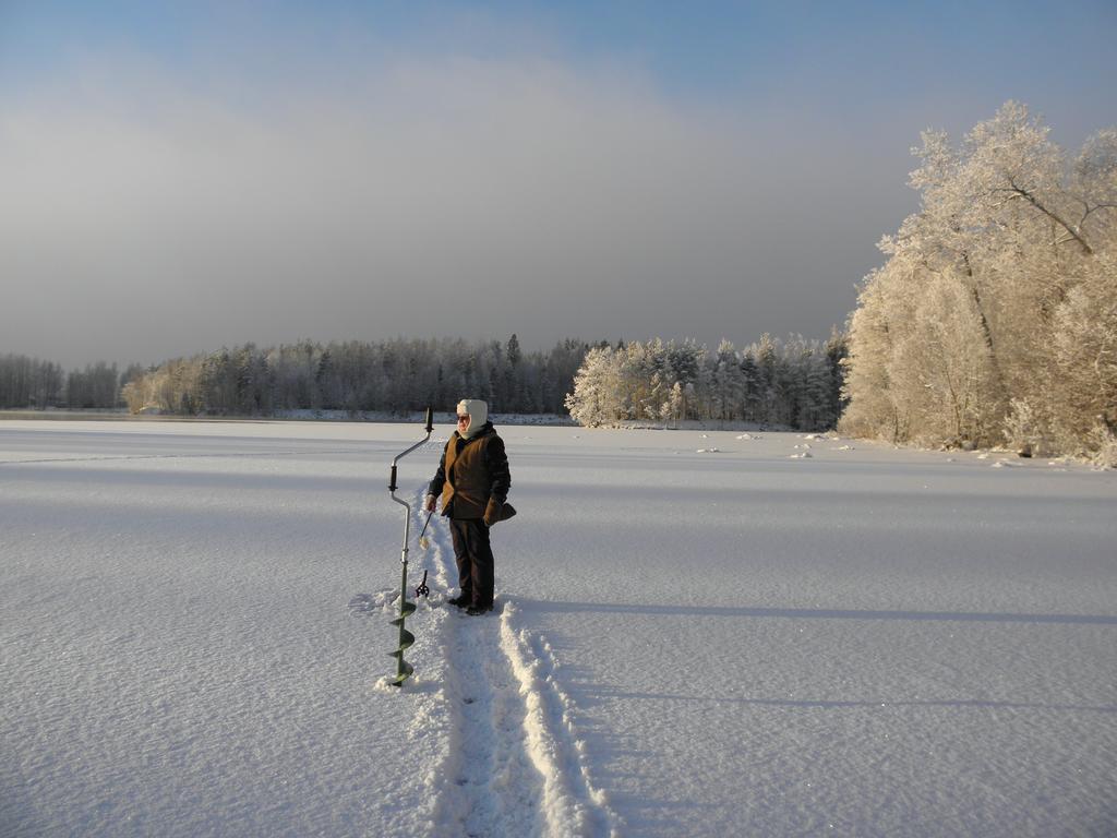 Neitsytniemen Kartano Bed and Breakfast Imatra Exteriör bild
